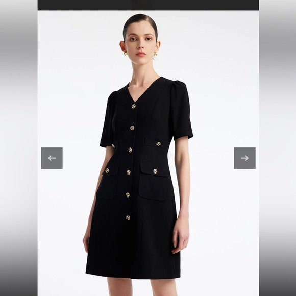 Goelia 1995 Black Triacetate Button Front Mini Dress - Picture 4 of 16